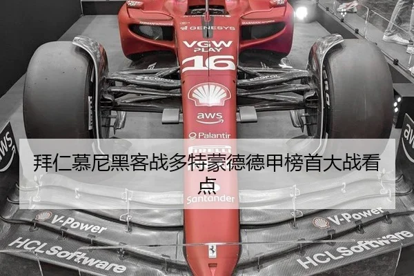 bai-ren-mu-ni-hei-ke-zhan-duo-te-meng-de-de-jia-bang-shou-da-zhan-kan-dian-3-516.jpg