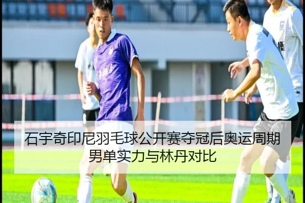 shi-yu-qi-yin-ni-yu-mao-qiu-gong-kai-sai-duo-guan-hou-ao-yun-zhou-qi-nan-dan-shi-li-yu-lin-dan-dui-bi-2-129.jpg